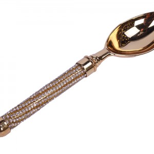 قاشق اجیل سالی نو