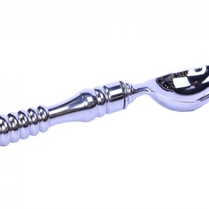 قاشق اجیل سالی نو