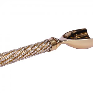 قاشق اجیل سالی نو