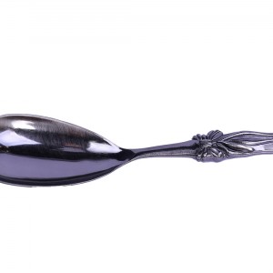 قاشق اجیل سالی نو