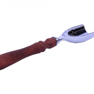 قاشق اجیل سالی نو