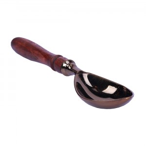 قاشق آجیل سالی نو