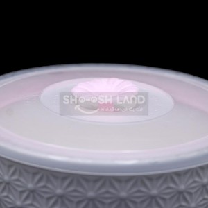 ظروف ماکروفری