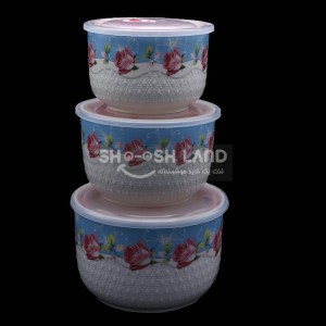 ظروف ماکروفری