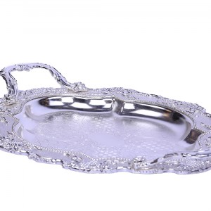 سینی سیلور سالی نو