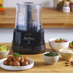 خردکن مولینکس مدل DP8108 MOULINEX