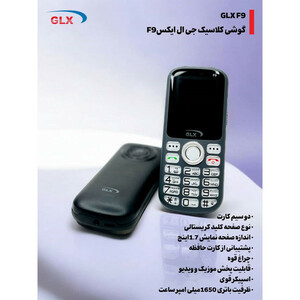 گوشی موبایل جی ال ایکس مدل GLX F9 دو سیم کارت