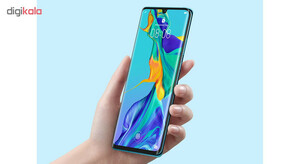 گوشی موبایل هوآوی مدل P30 Pro VOG-L29 دو سیم کارت ظرفیت 256 گیگابایت - با برچسب قیمت مصرف کننده