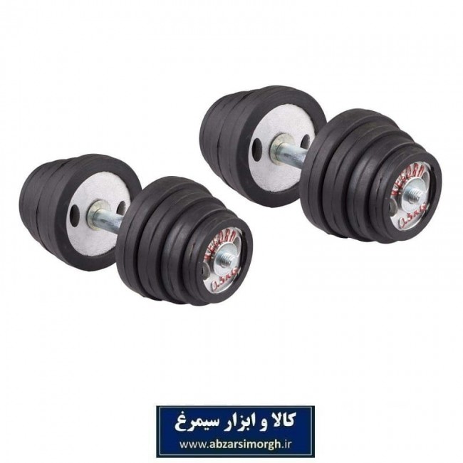 دمبل ۱۰ کیلوگرمی رکورد Record بسته 2 عددی