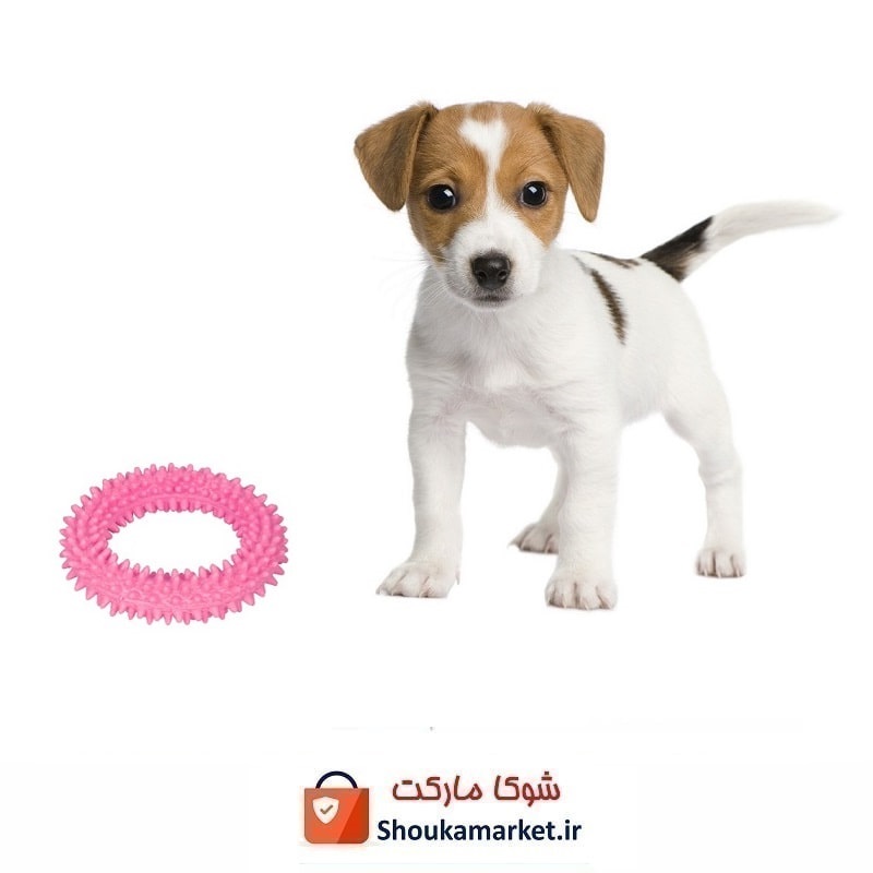 اسباب بازی دندانی سگ Dog Dental Toy طرح دایان HPS-018