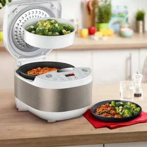 مولتی کوکر تفال مدل TEFAL RK6221