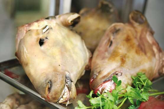 کله پاچه عقیقه را چکار کنیم