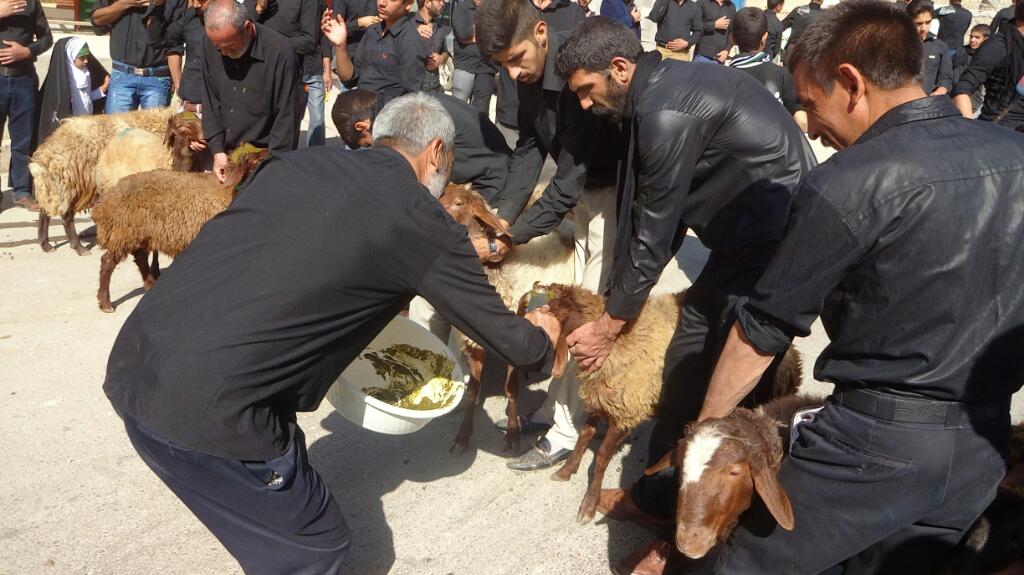 عرضه و پخش و فروش گوشت حسینیه