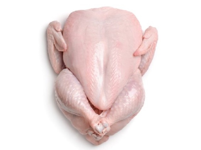 گوشت تازه مرغ کامل (یک کیلو و هشتصد گرمی)