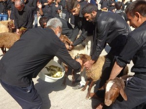 عرضه و پخش و فروش گوشت حسینیه