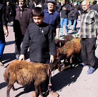 گوشت حسینیه - بازار گوشت