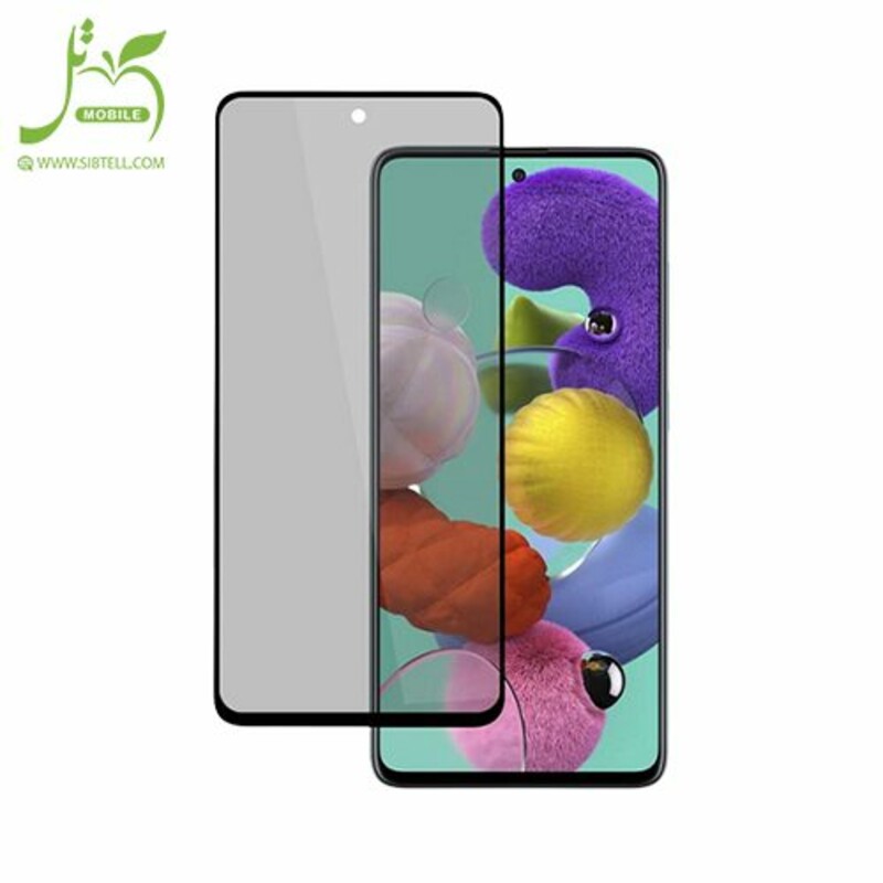 محافظ صفحه نمایش شیشه ای پرایوسی Samsung Galaxy A25 درجه یک