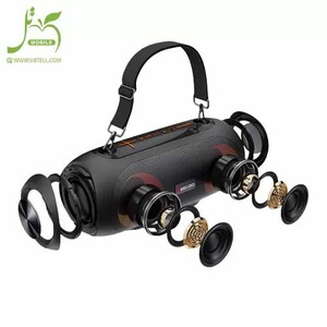 اسپیکر بیکارو GF702