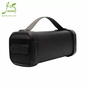 اسپیکر بیکارو مدل F62S