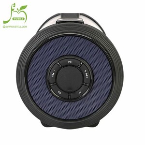 Beecaro-speaker-model-S39