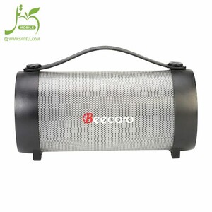 Beecaro-speaker-model-RX-22E
