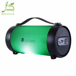 Beecaro-speaker-model-RX22E-1