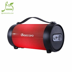 Beecaro-speaker-model-RX22E-2