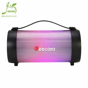 Beecaro-speaker-model-RX22E-3