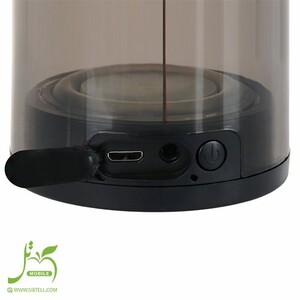 Portable Speaker TS 2323