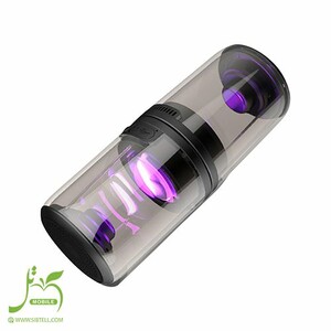 Portable Speaker TS 2323