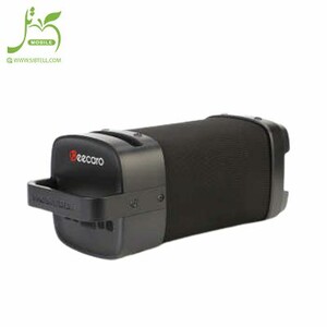 Beecaro portable Bluetooth speaker model GF801