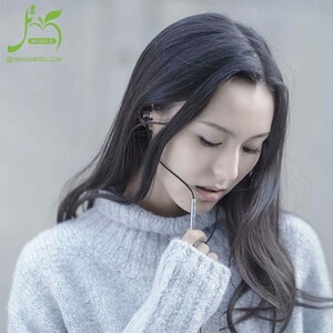 Xiaomi Mi In -Ear Headphone Pro HD