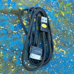 Samsung Galaxy Tab USB 30 Pin Charger Cable