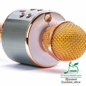 بلندگو دستی با اکو و بلوتوث مدل WS-858