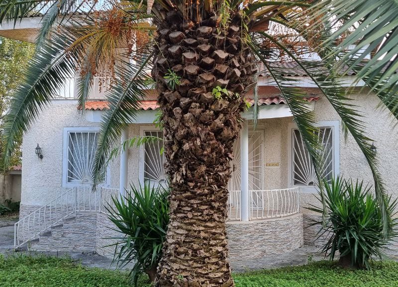 (کد۱)  ویلاباغ 600 متری در نوشهر - سیسنگان - پیکلا