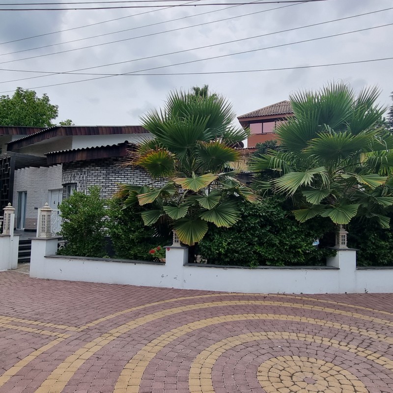 کد۶۵ // ویلا  استخردار در نوشهر - صلاح الدینکلا - شهرک آزالیا