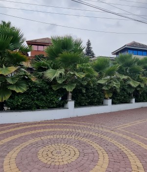کد۶۵ // ویلا استخردار در نوشهر - صلاح الدینکلا - شهرک آزالیا