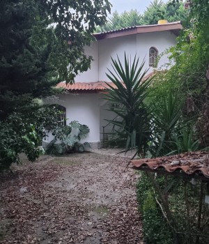 (کد۷۶) ویلا باغ ۷۰۰ متری در شمال - سیسنگان - آویدر