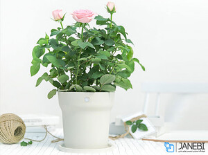 گلدان هوشمند شیائومی Flowerpot