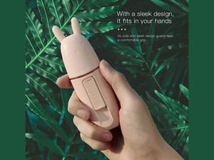 دستگاه مرطوب کننده صورت بیسوس Baseus Portable Moisturizing Sprayer