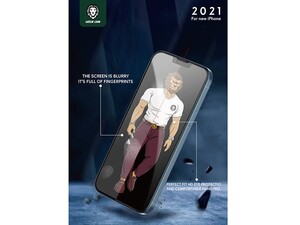 محافظ صفحه نمایش حریم شخصی شیشه‌ای مات آیفون 13 و 13 پرو گرین Green Lion 3D AG/Matte HD Glass Screen Protector for iPhone 13 / 13 Pro GN3AG13PR