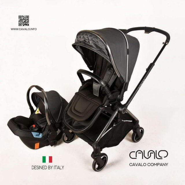 سرویس کالسکه ۲ تکه کاوالو Cavalo چمدانی (طوسی بدنه تیتانیوم)