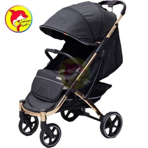 کالسکه کابین سایز و هواپیمایی کیدیلو S666