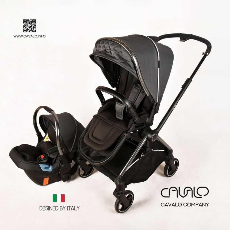 سرویس کالسکه دسته دوطرفه و اتاق دوطرفه کاوالو Cavalo (طوسی بدنه تیتانیوم)