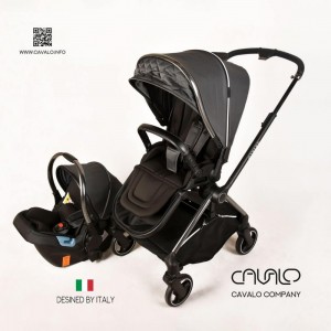 سرویس کالسکه دسته دوطرفه و اتاق دوطرفه کاوالو Cavalo (طوسی بدنه تیتانیوم)