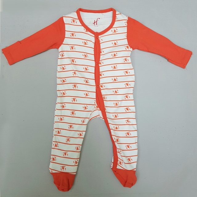 سرهمی خارجی ببری