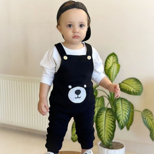 بیلر بیسکوییتی تدی