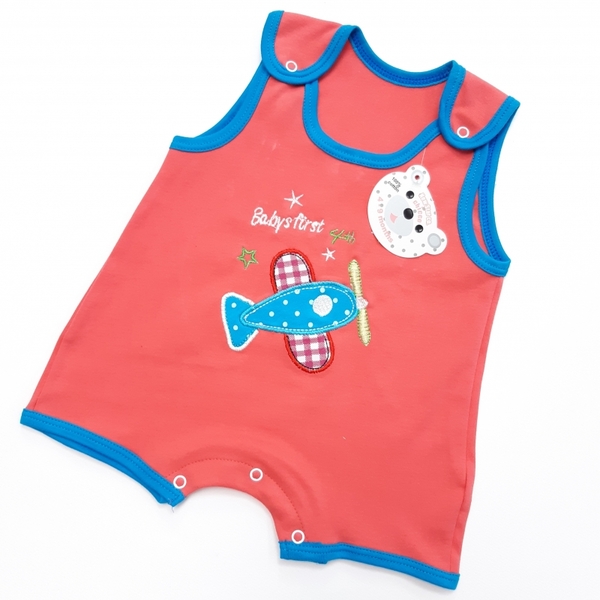 دوبنده هواپیما گلبهی