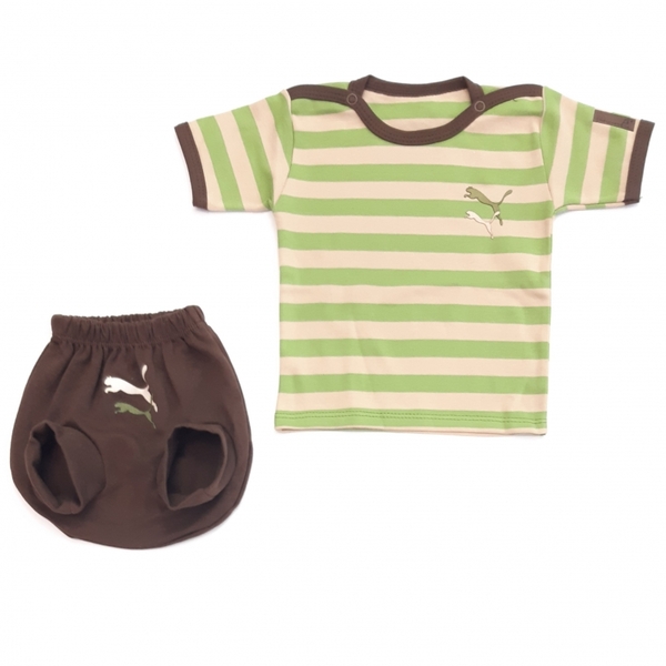 کوتاه عینکی پوما