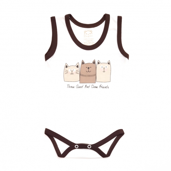 زیررکابی سه گربه